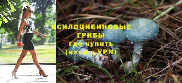 spice Абдулино