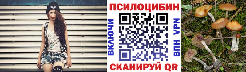 Галлюциногенные грибы Cubensis  даркнет сайт  Александровск 